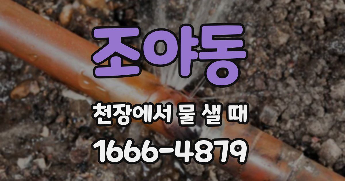 조야동 천장에서 물 샐 때