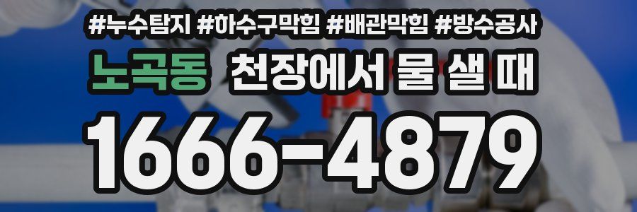 노곡동 천장에서 물 샐 때