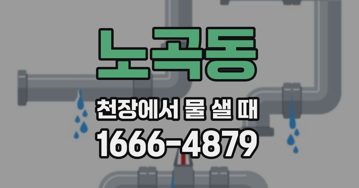노곡동 천장에서 물 샐 때