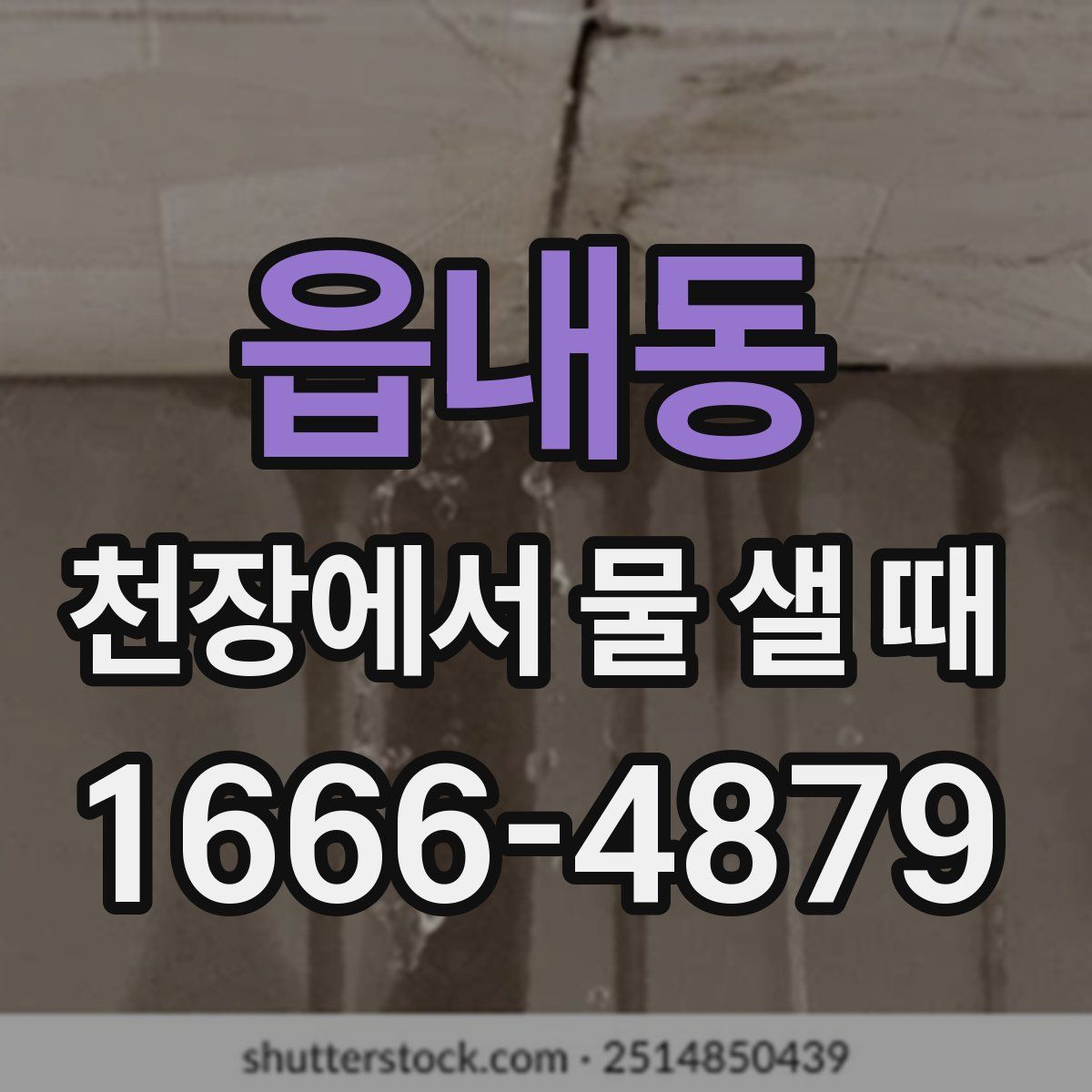 읍내동 천장에서 물 샐 때