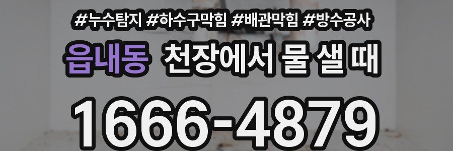 읍내동 천장에서 물 샐 때