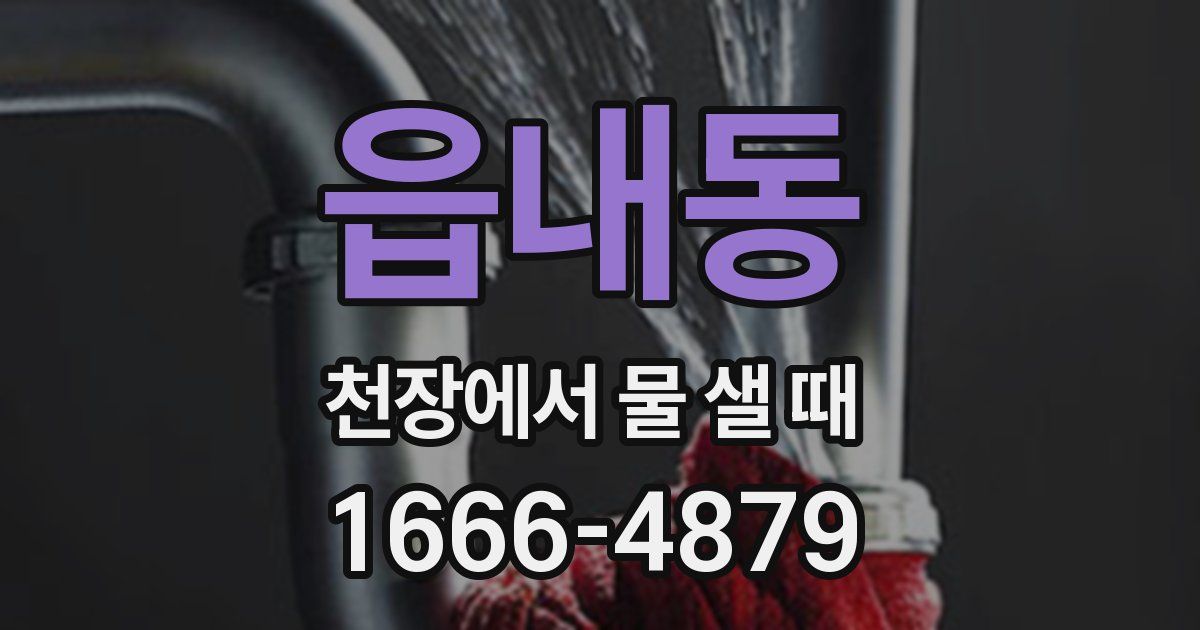 읍내동 천장에서 물 샐 때