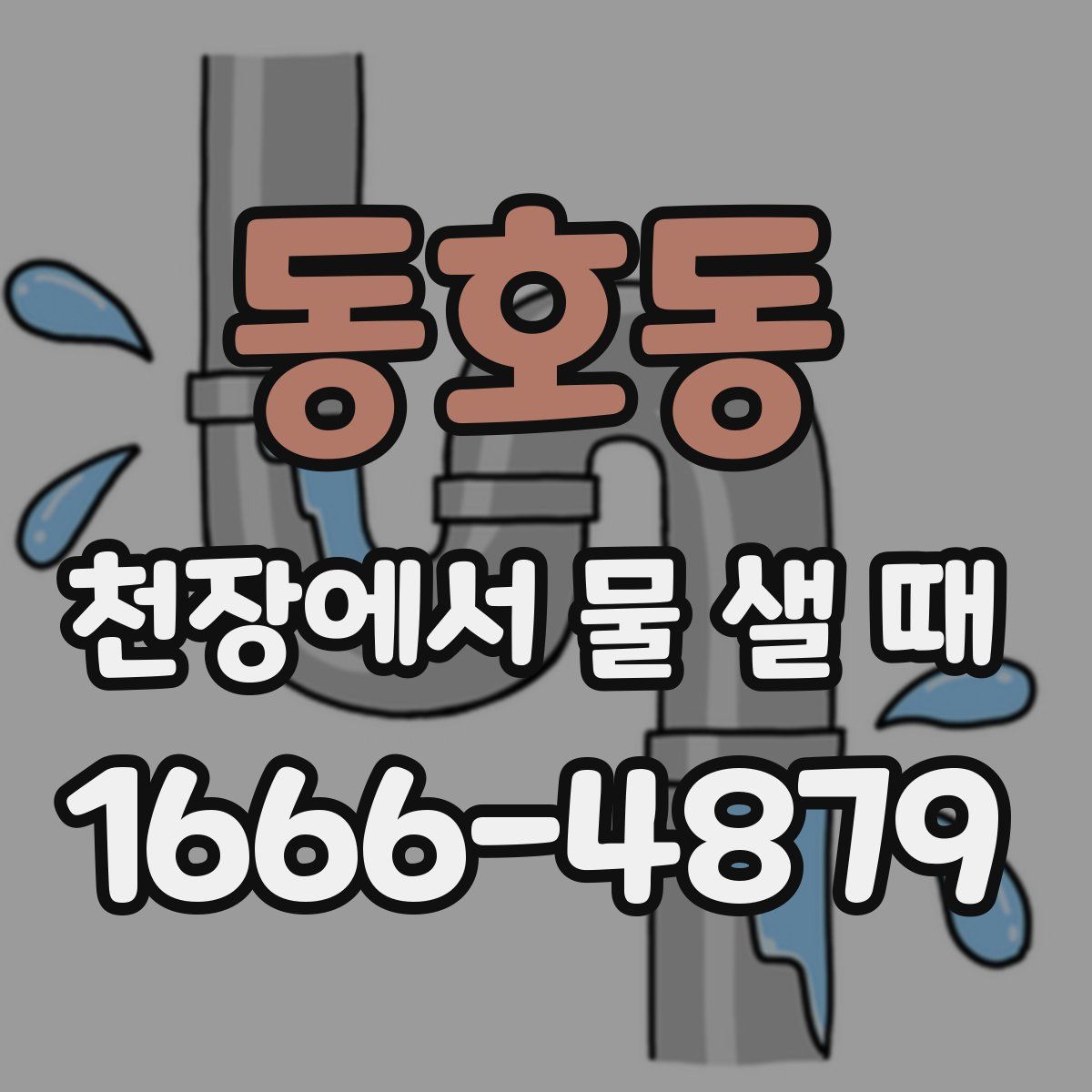 동호동 천장에서 물 샐 때