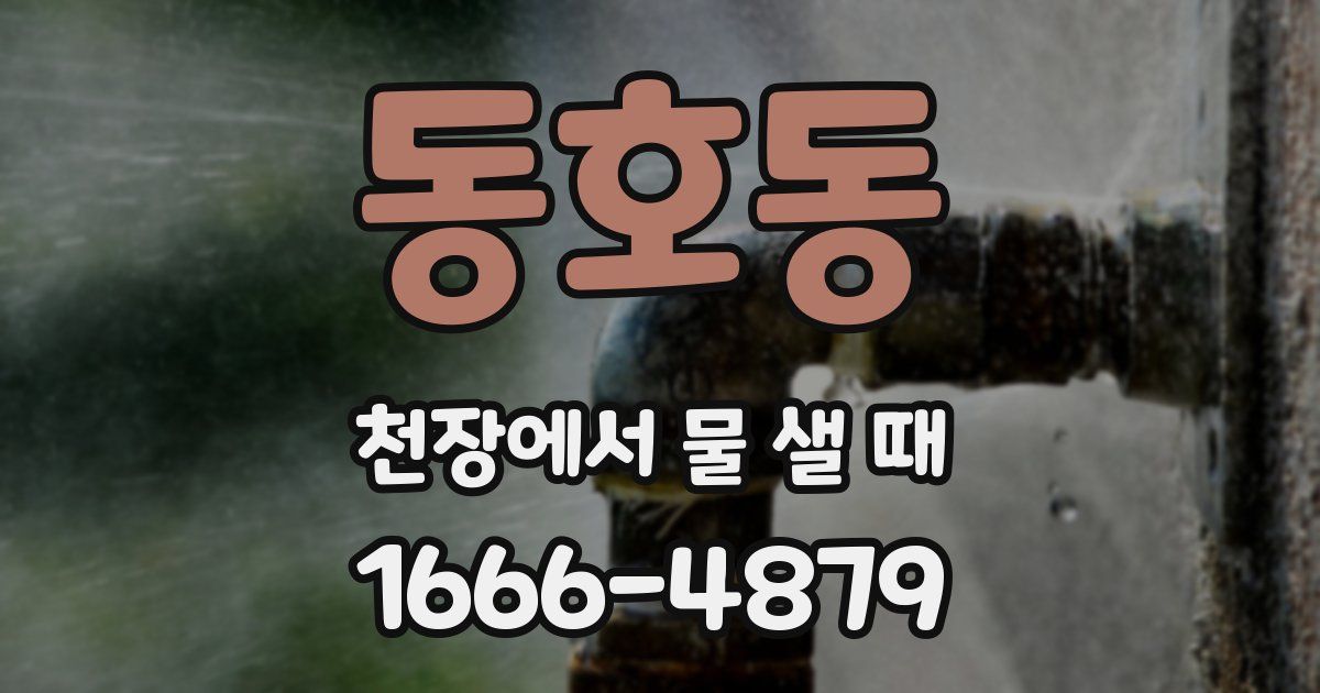 동호동 천장에서 물 샐 때