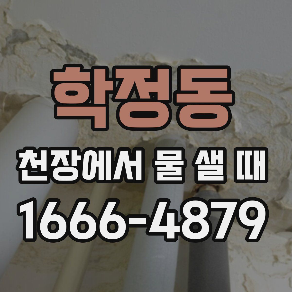 학정동 천장에서 물 샐 때