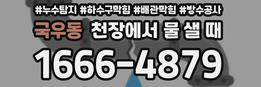 국우동 천장에서 물 샐 때