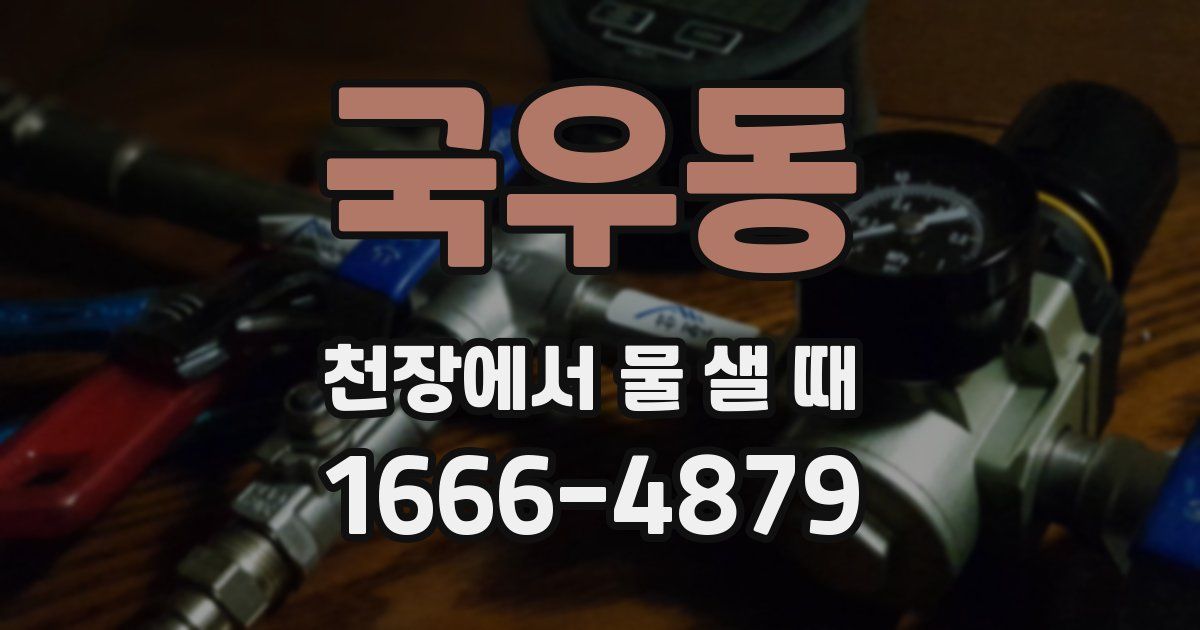 국우동 천장에서 물 샐 때