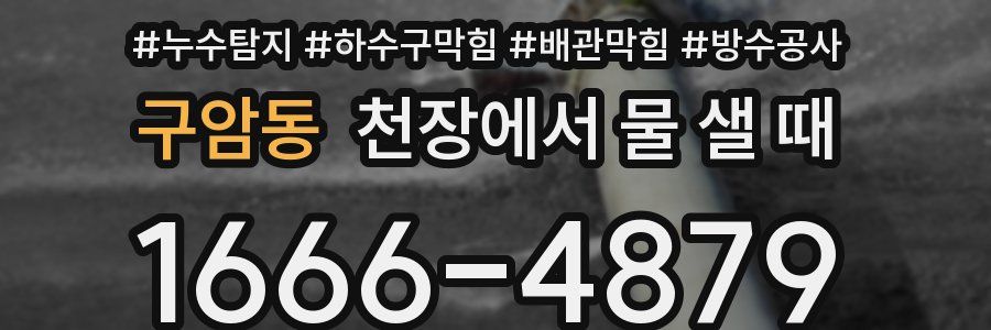 구암동 천장에서 물 샐 때
