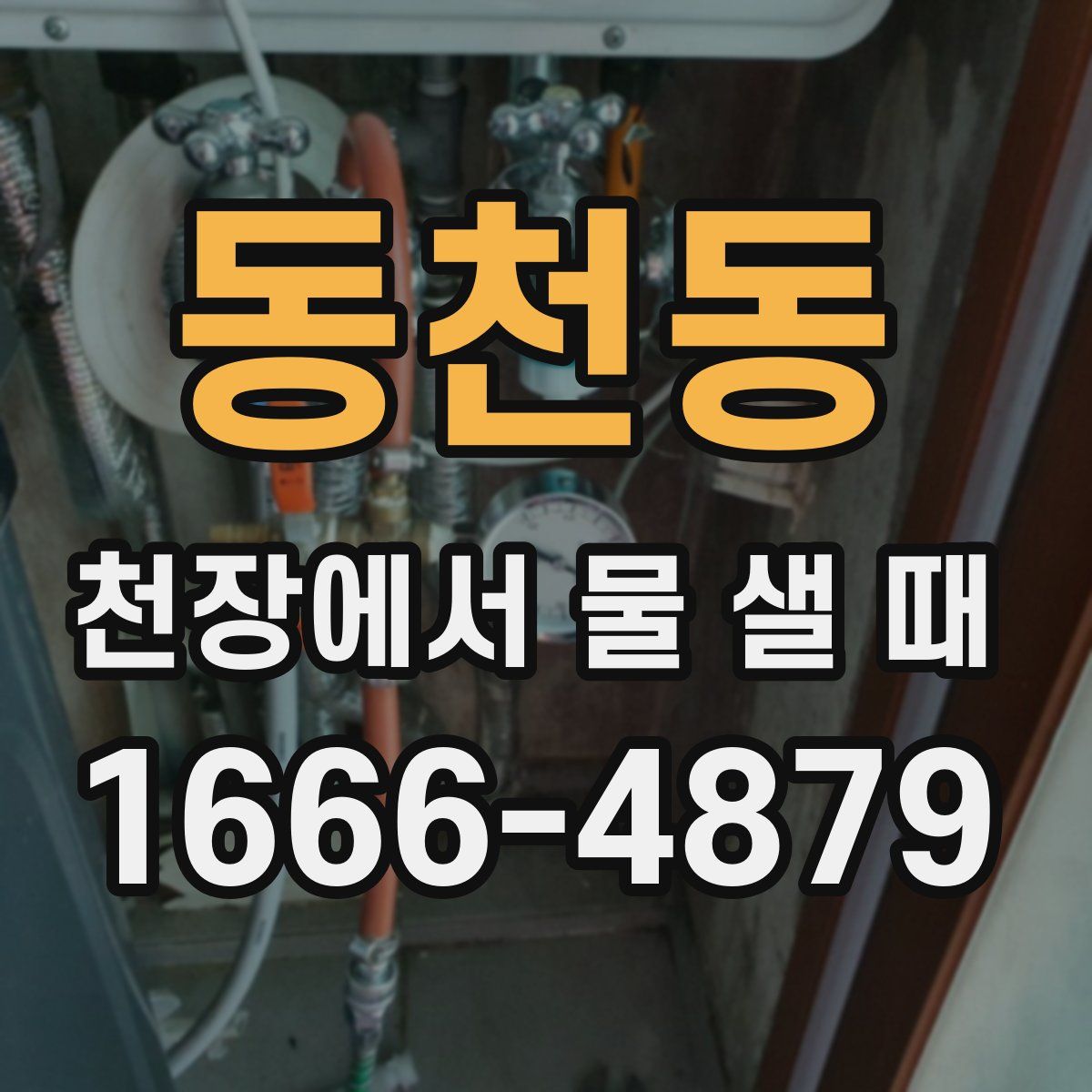 동천동 천장에서 물 샐 때