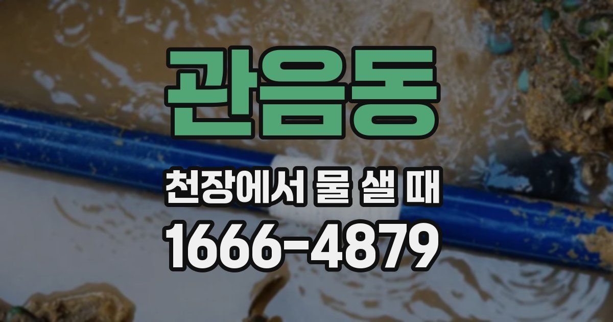 관음동 천장에서 물 샐 때