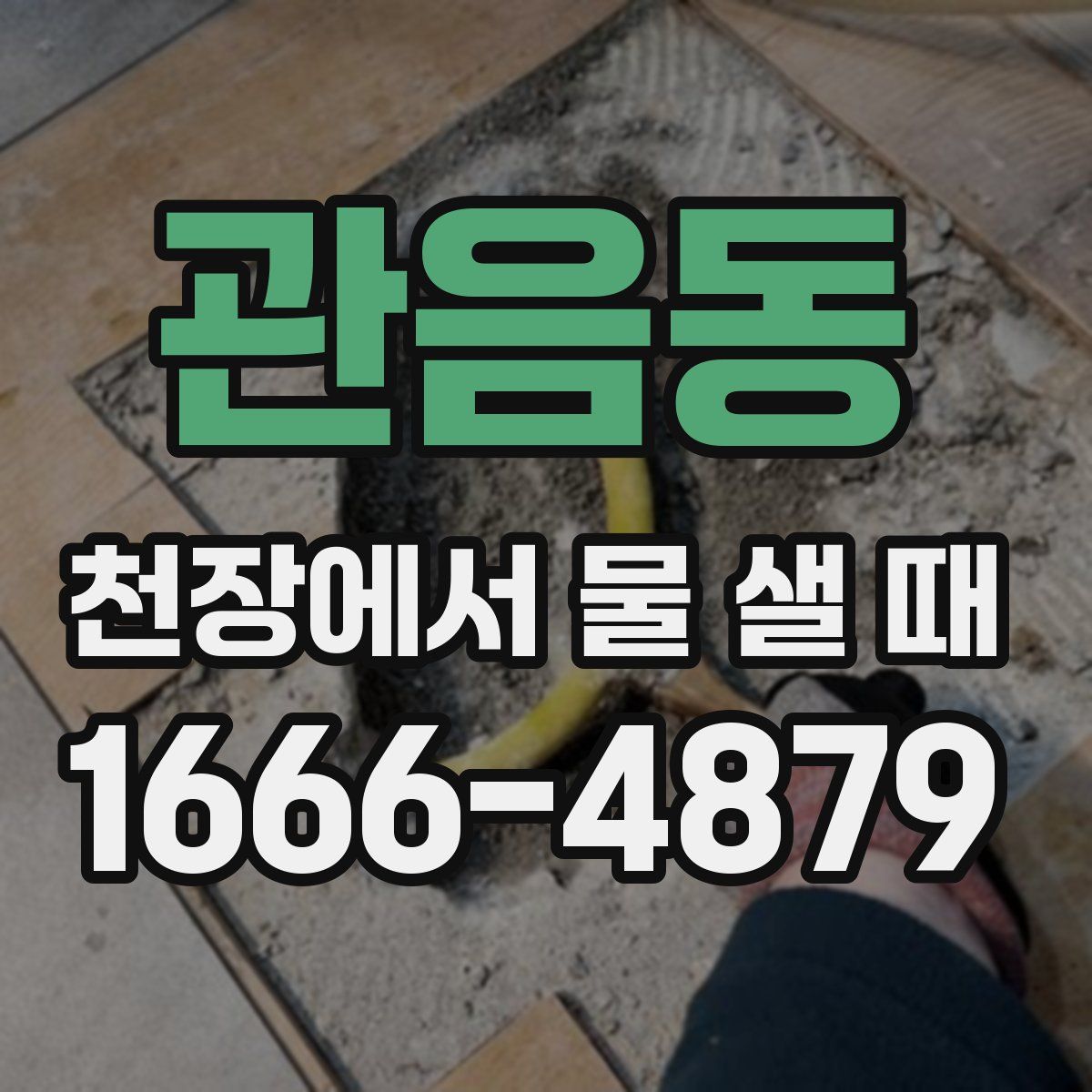 관음동 천장에서 물 샐 때