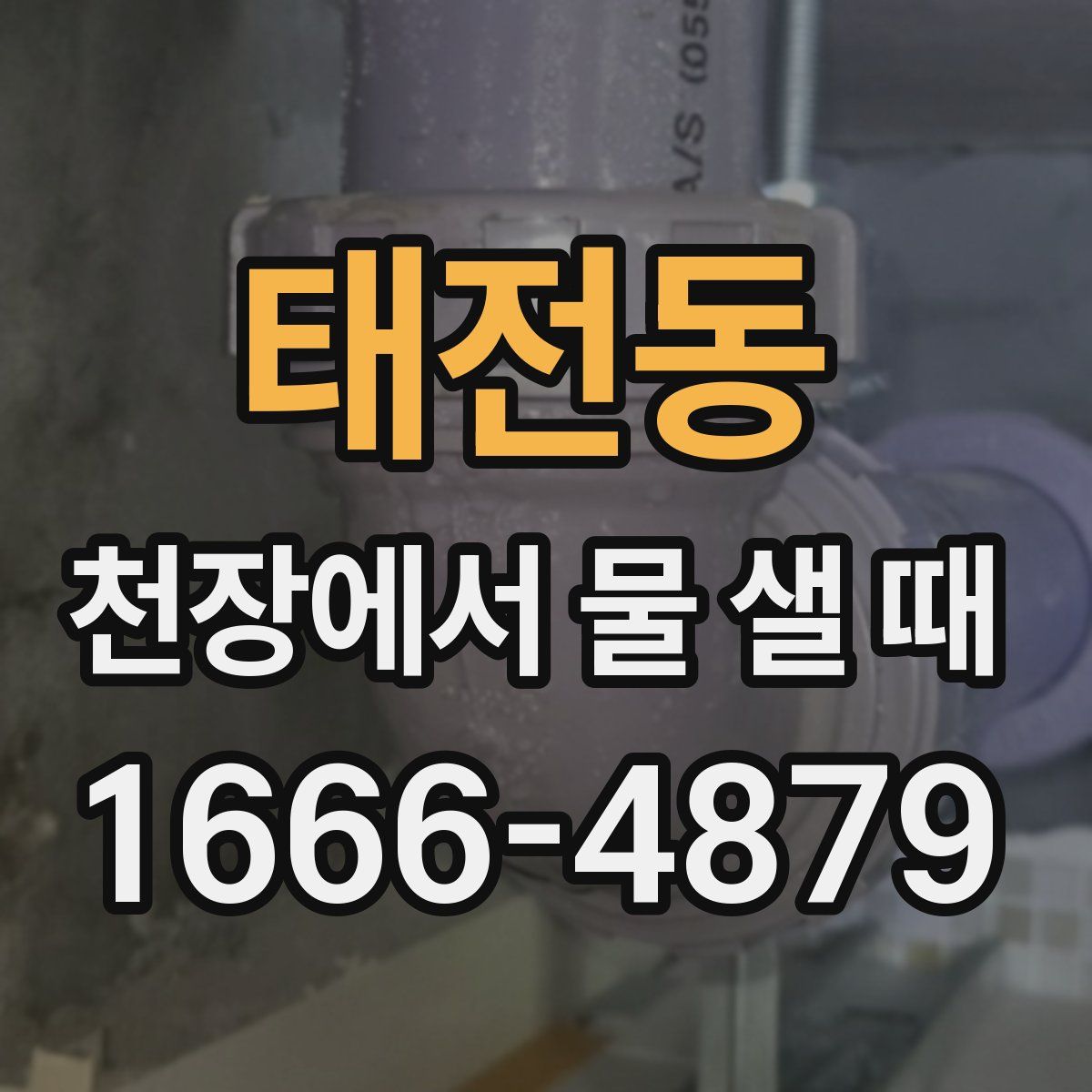 태전동 천장에서 물 샐 때
