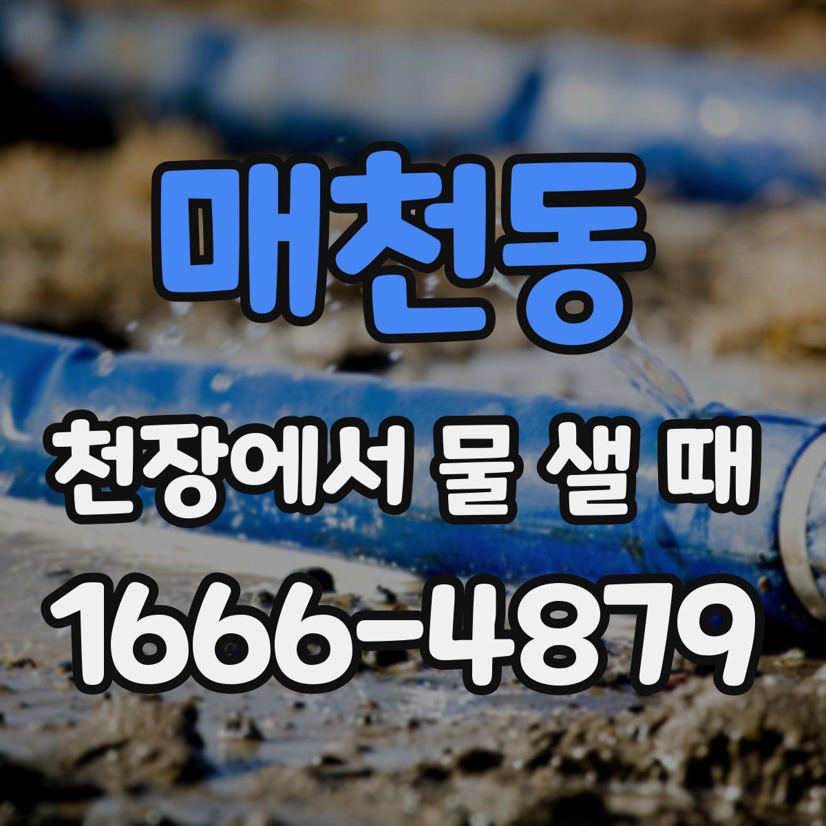 매천동 천장에서 물 샐 때