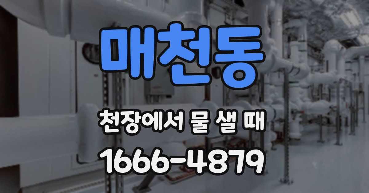 매천동 천장에서 물 샐 때