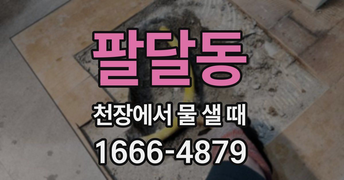팔달동 천장에서 물 샐 때