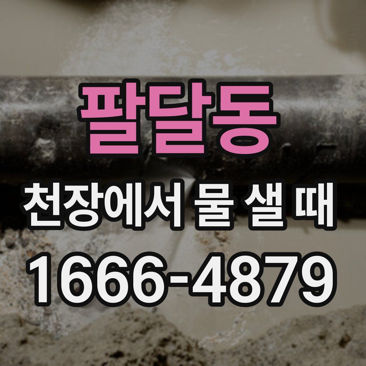 팔달동 천장에서 물 샐 때