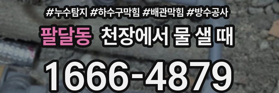 팔달동 천장에서 물 샐 때