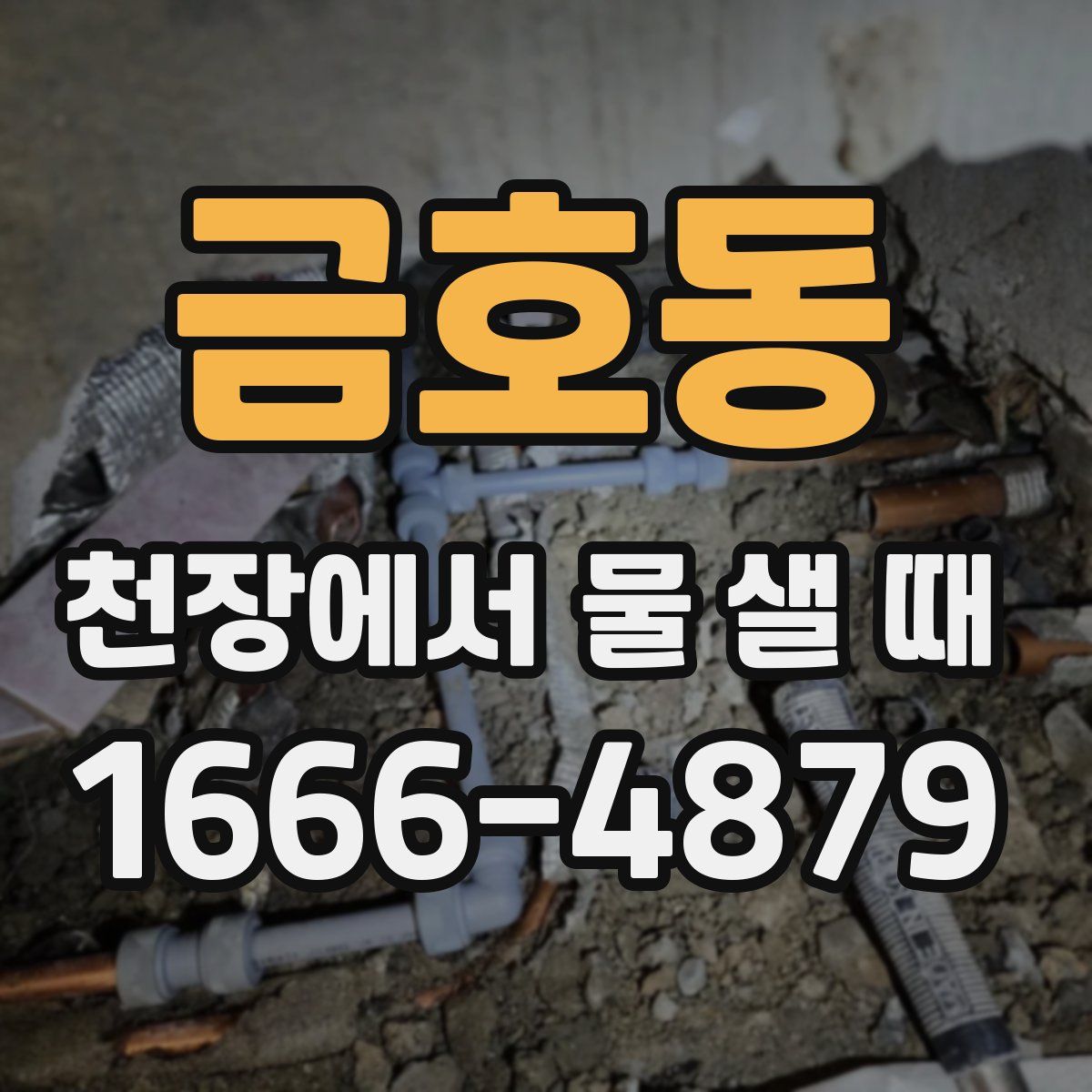 금호동 천장에서 물 샐 때