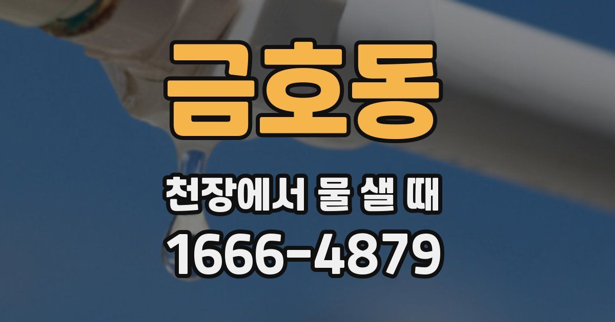 금호동 천장에서 물 샐 때