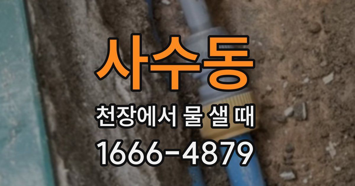 사수동 천장에서 물 샐 때