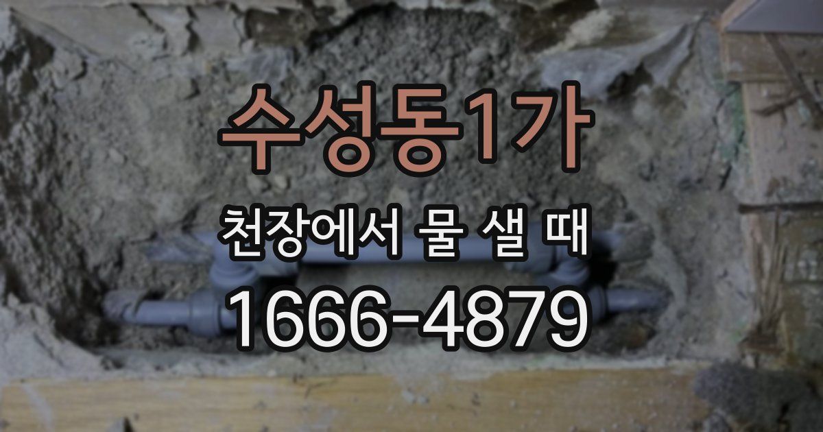 수성동1가 천장에서 물 샐 때