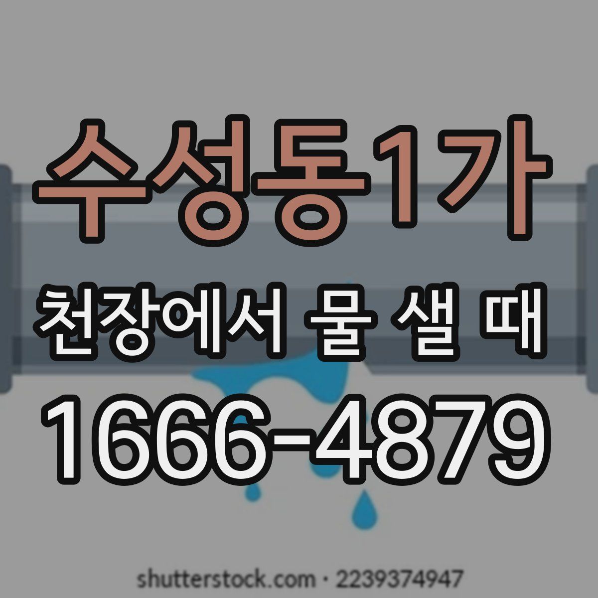 수성동1가 천장에서 물 샐 때