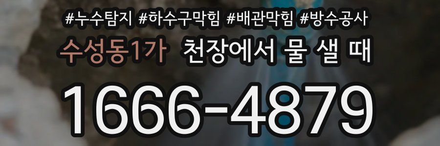 수성동1가 천장에서 물 샐 때