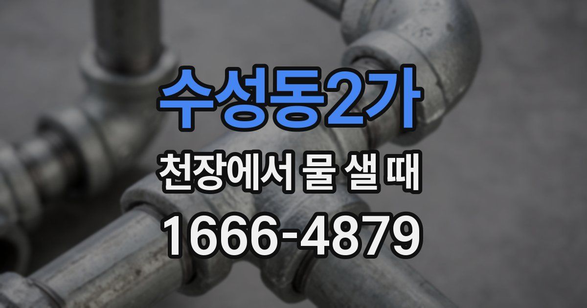 수성동2가 천장에서 물 샐 때