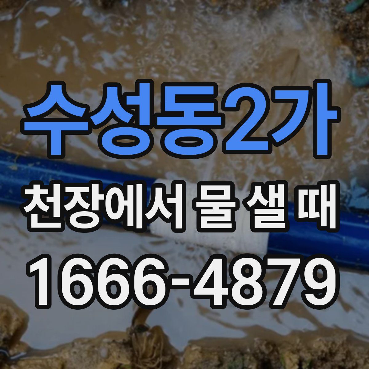 수성동2가 천장에서 물 샐 때