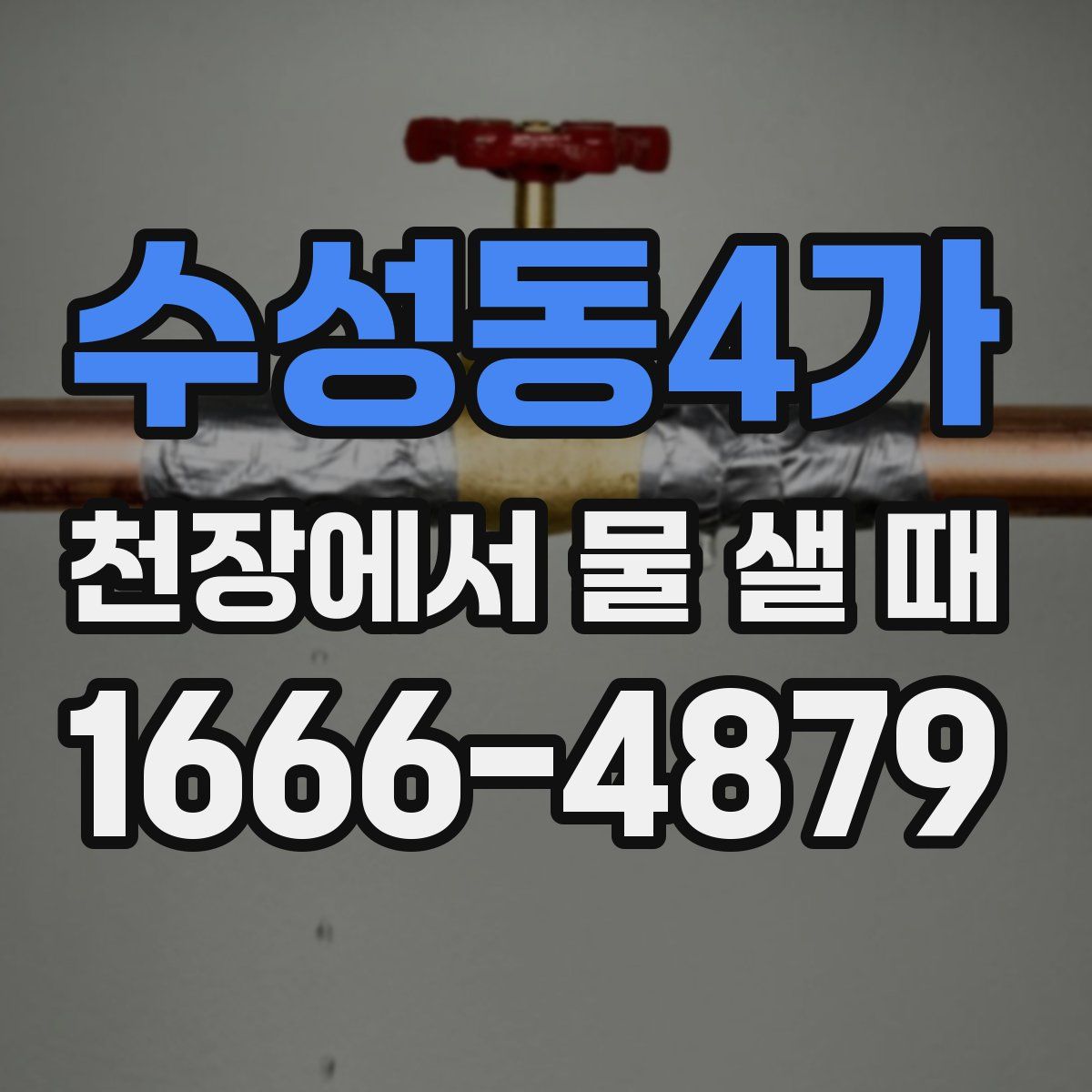 수성동4가 천장에서 물 샐 때