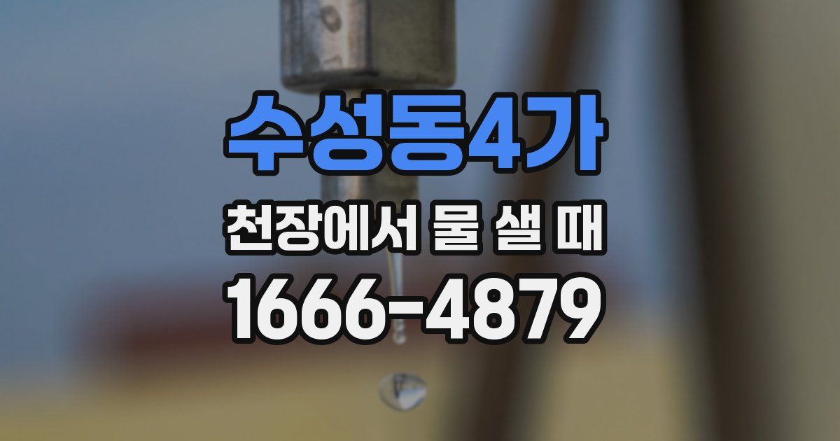 수성동4가 천장에서 물 샐 때