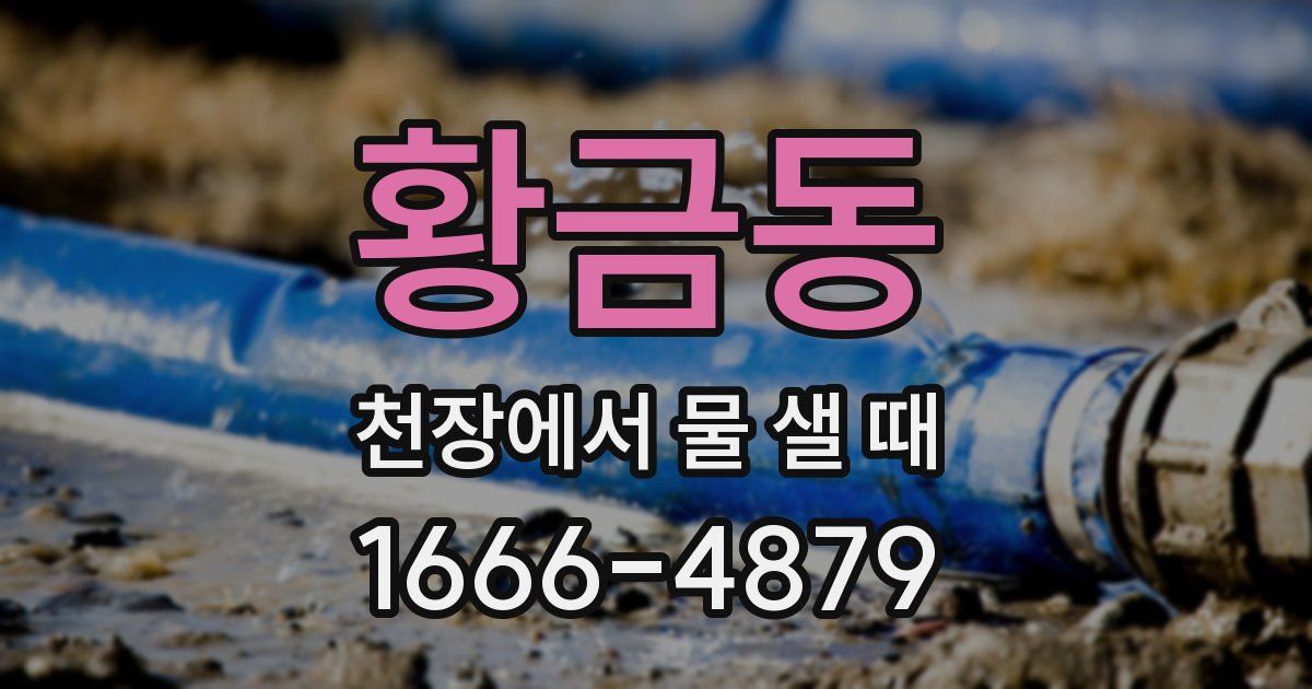 황금동 천장에서 물 샐 때