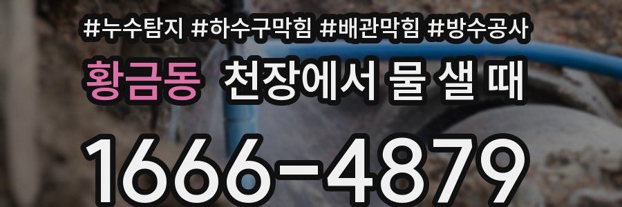 황금동 천장에서 물 샐 때