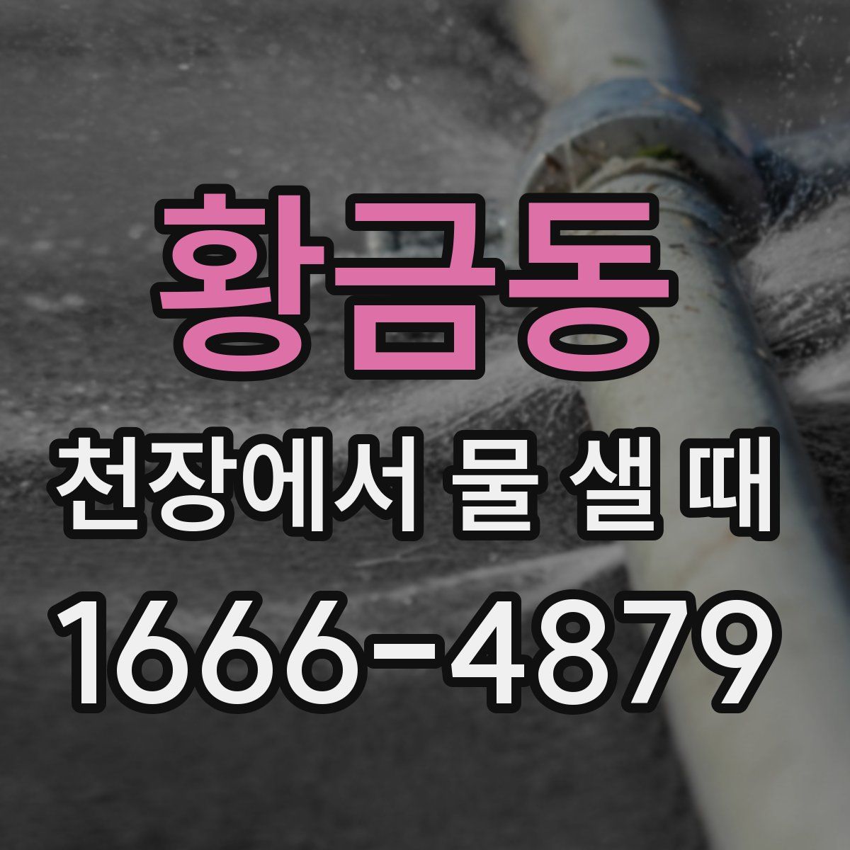 황금동 천장에서 물 샐 때