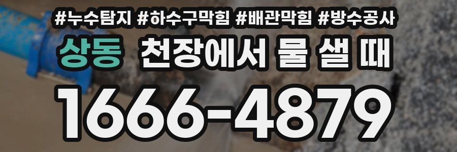 상동 천장에서 물 샐 때