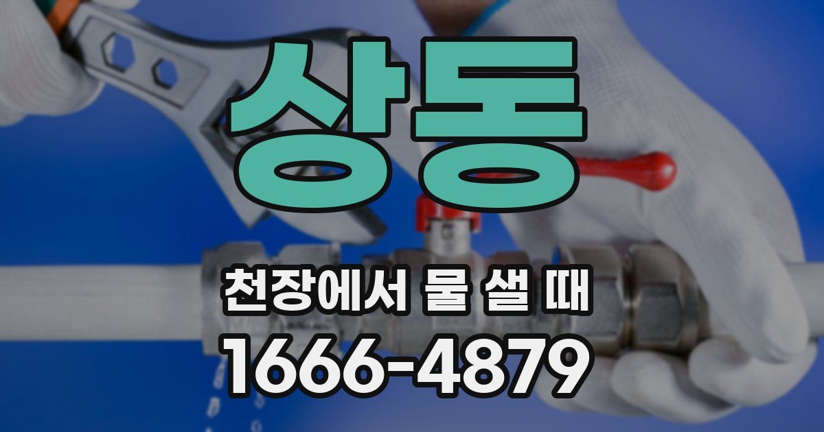 상동 천장에서 물 샐 때