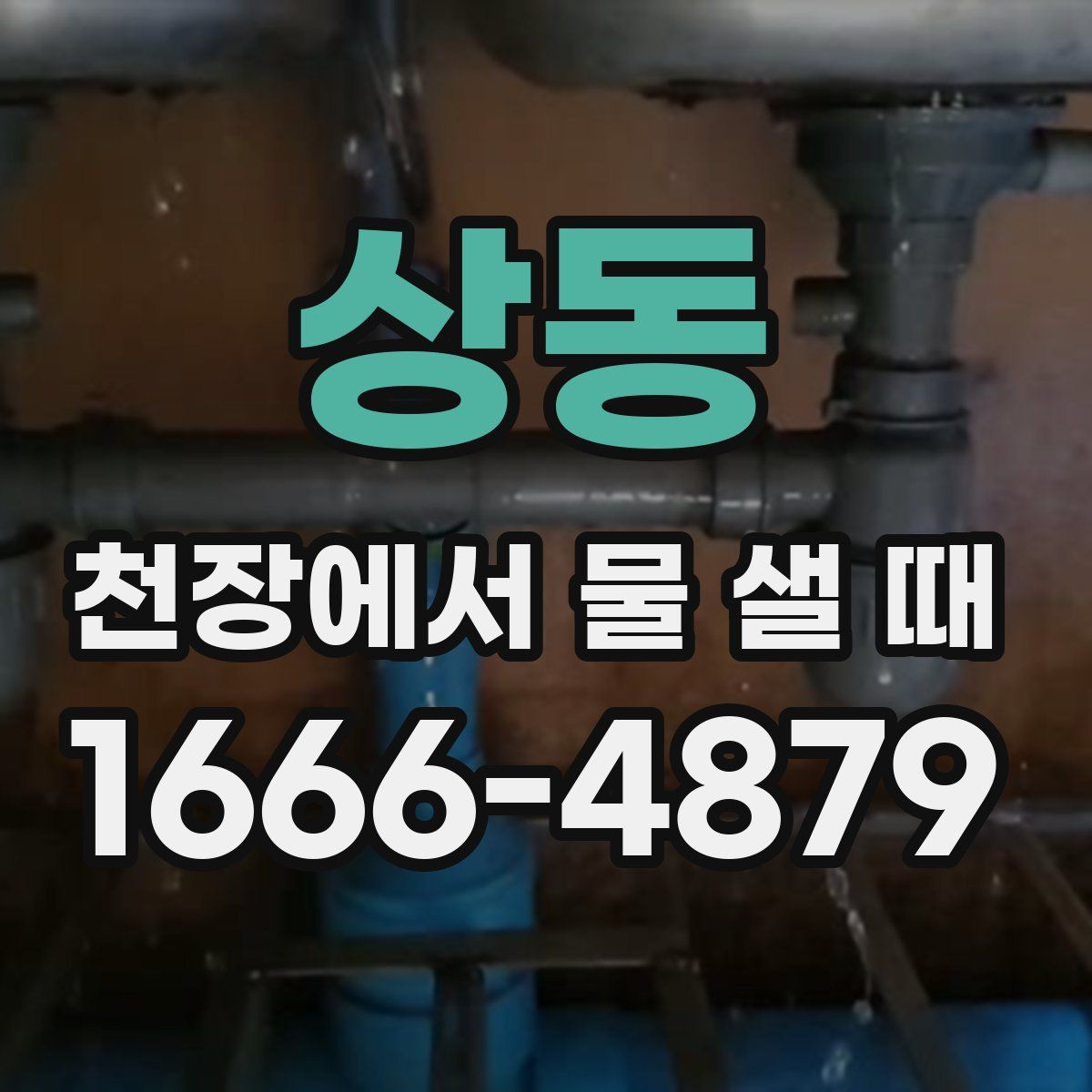 상동 천장에서 물 샐 때