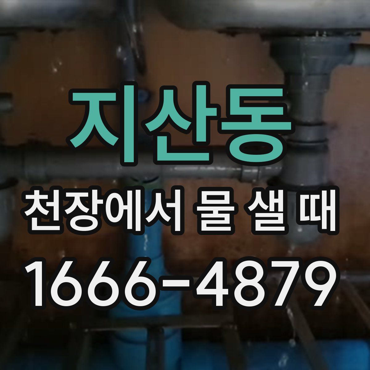 지산동 천장에서 물 샐 때