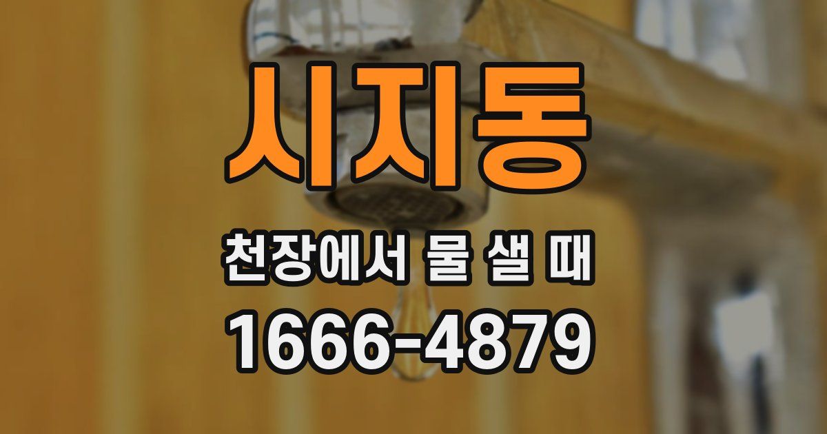 시지동 천장에서 물 샐 때