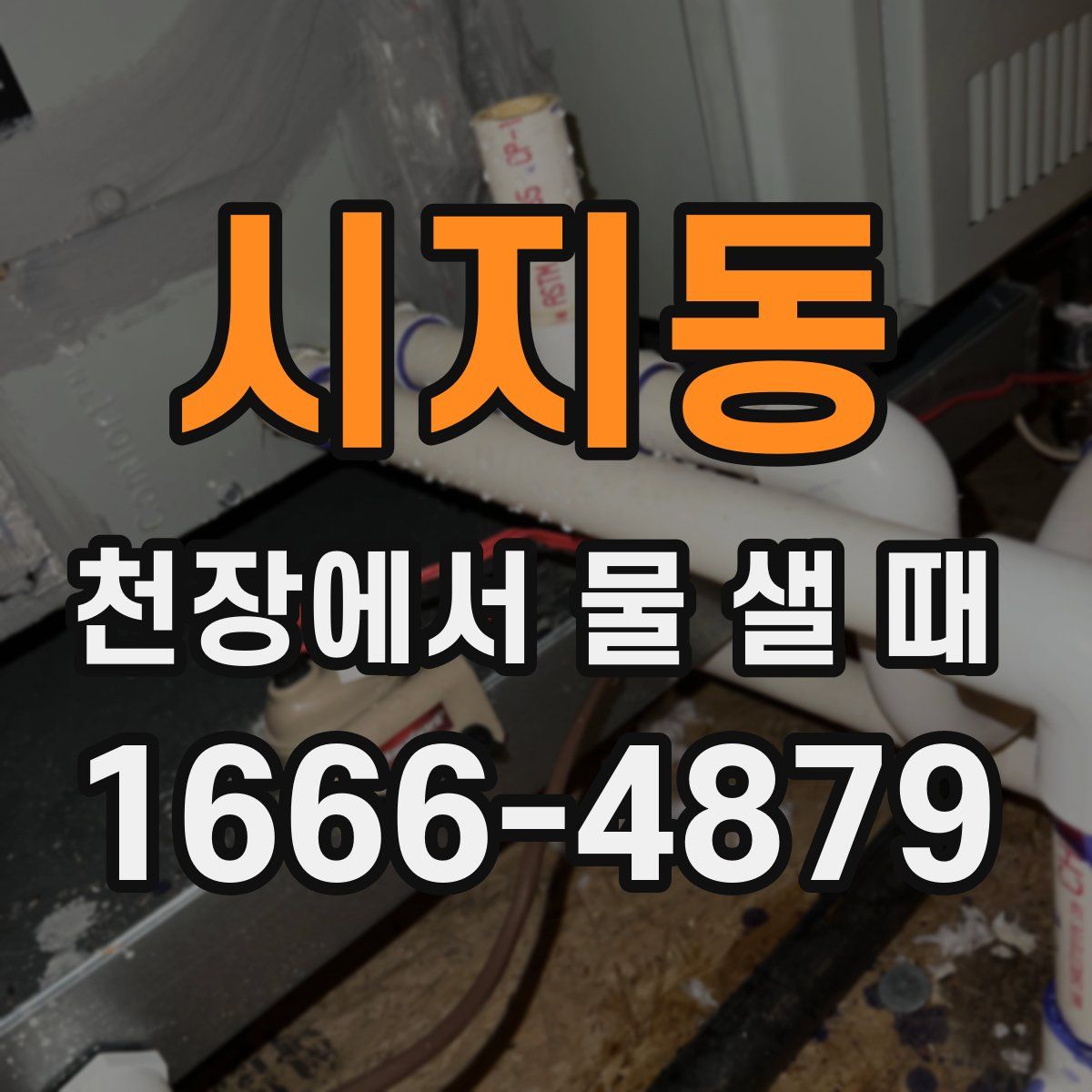 시지동 천장에서 물 샐 때