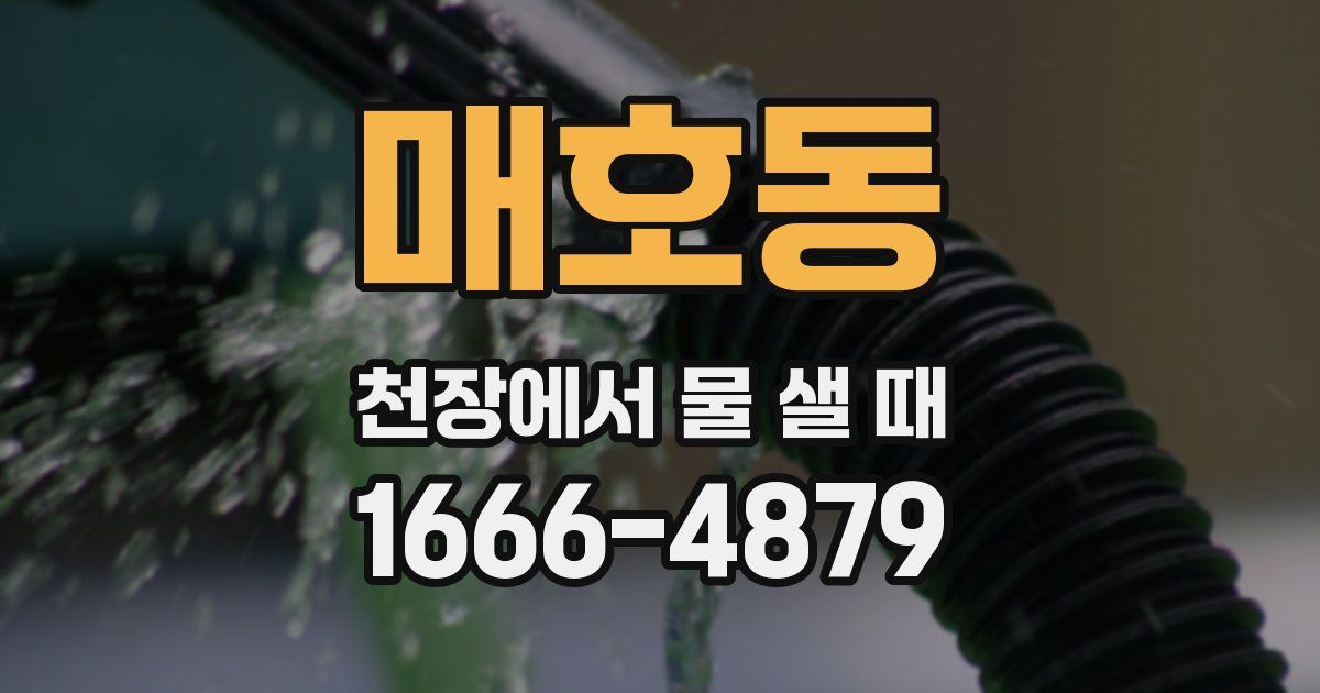 매호동 천장에서 물 샐 때