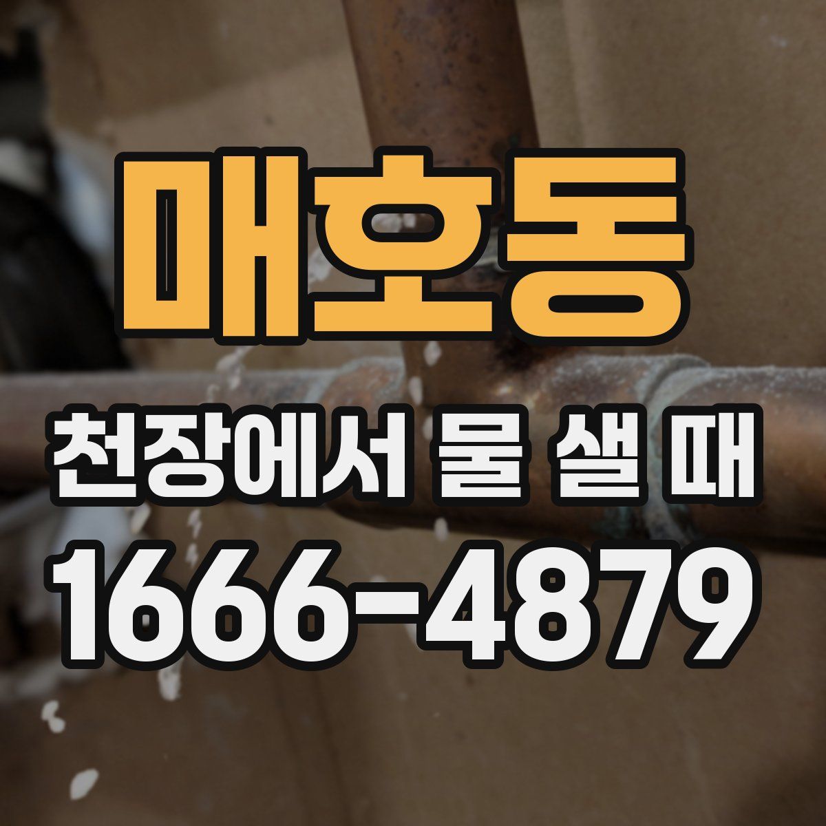 매호동 천장에서 물 샐 때