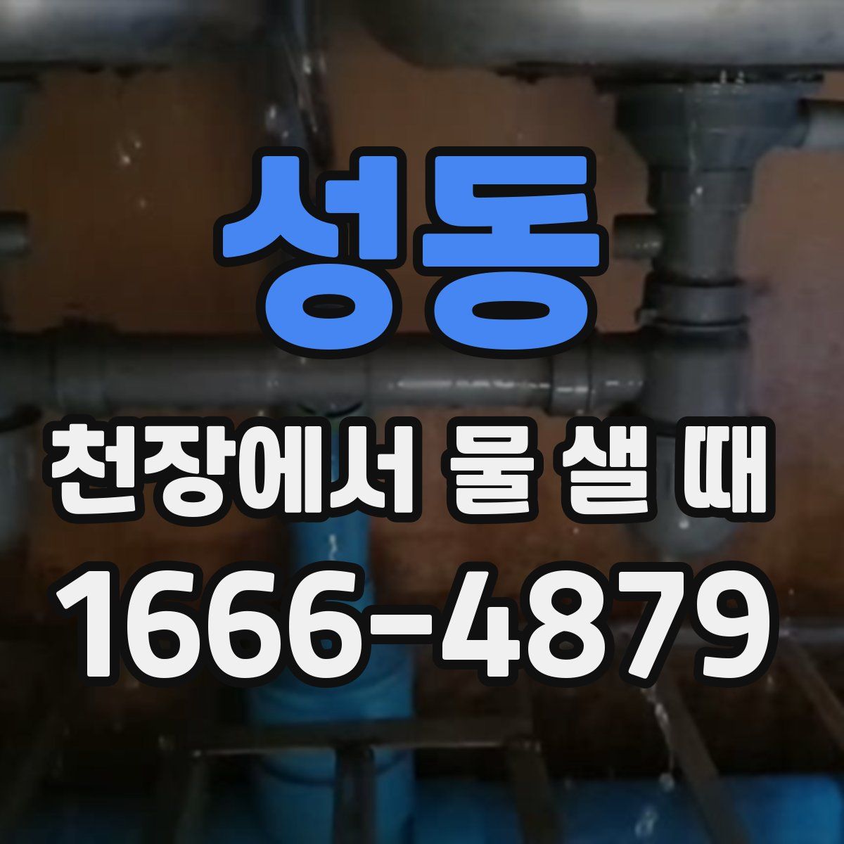 성동 천장에서 물 샐 때