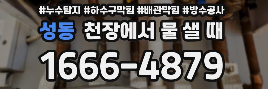 성동 천장에서 물 샐 때