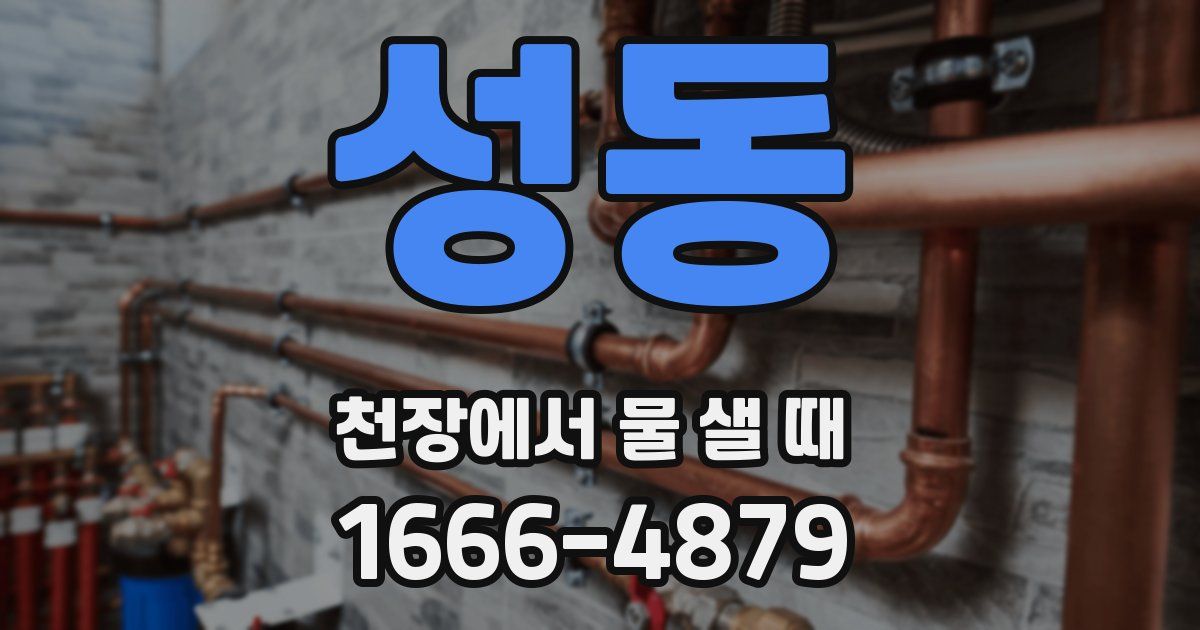 성동 천장에서 물 샐 때