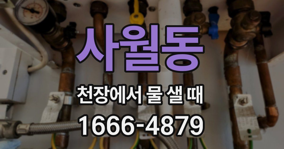 사월동 천장에서 물 샐 때