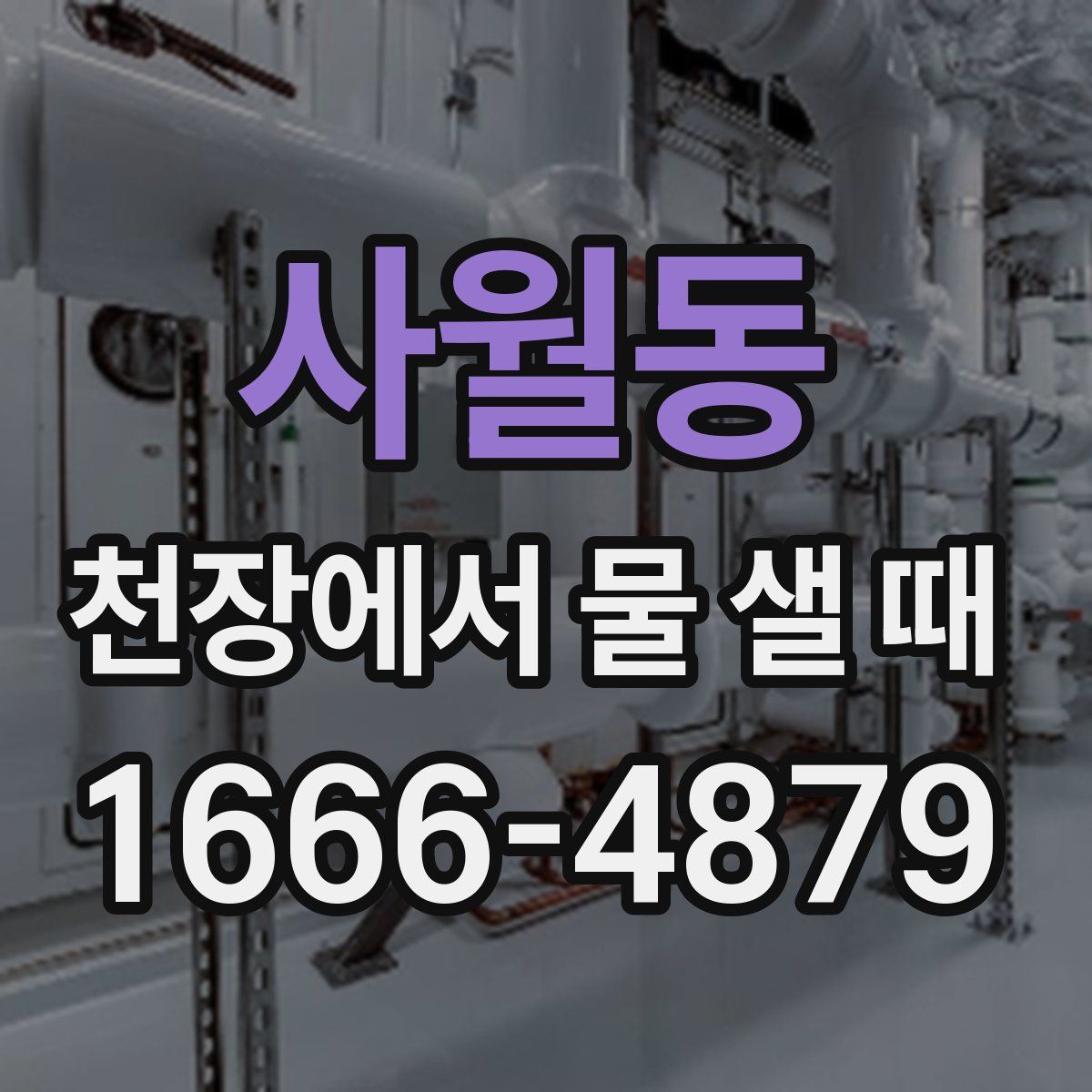 사월동 천장에서 물 샐 때