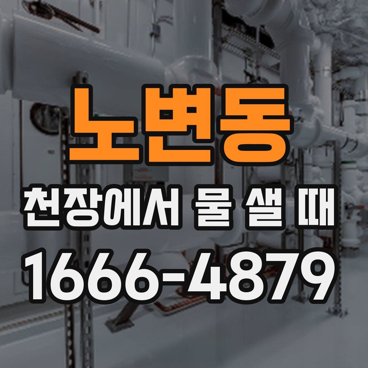 노변동 천장에서 물 샐 때