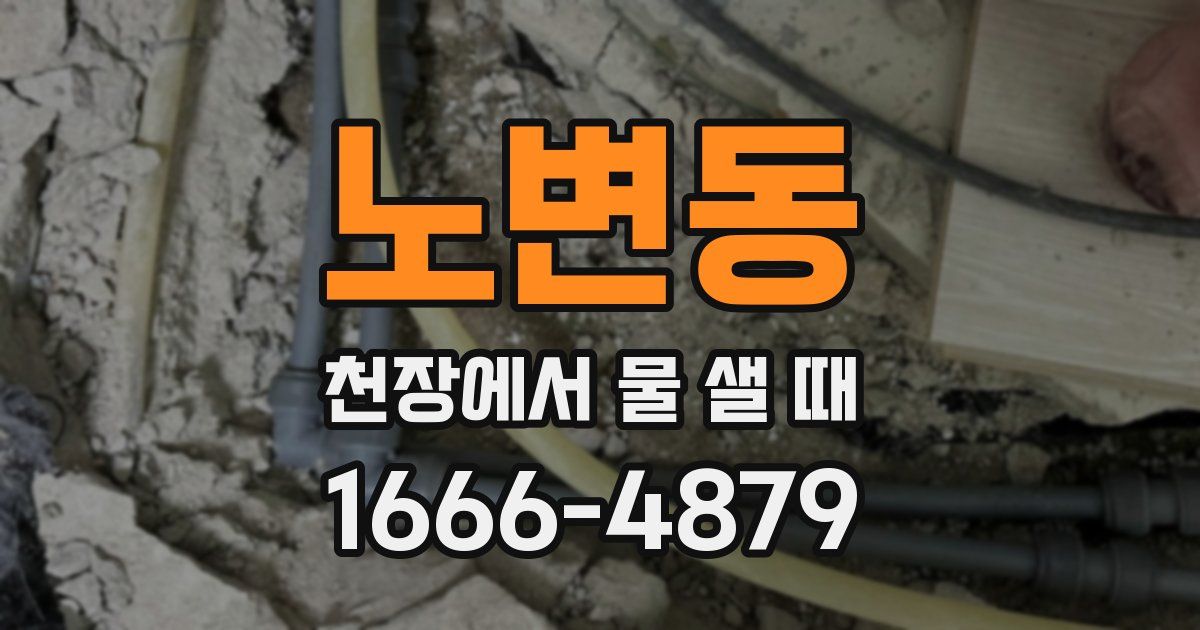 노변동 천장에서 물 샐 때