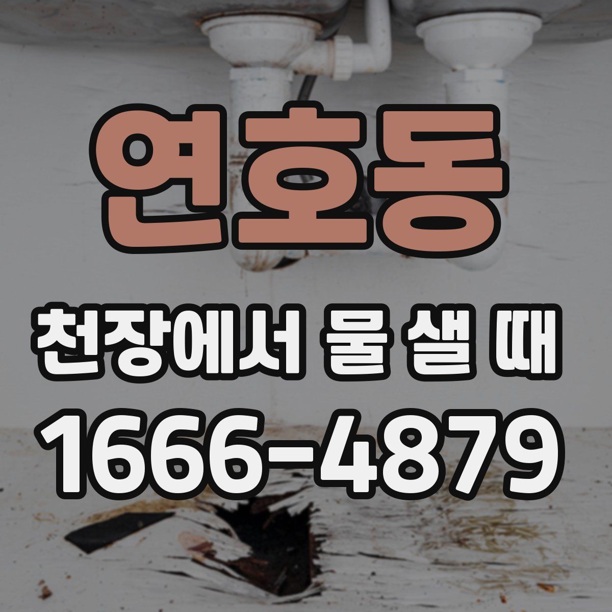 연호동 천장에서 물 샐 때